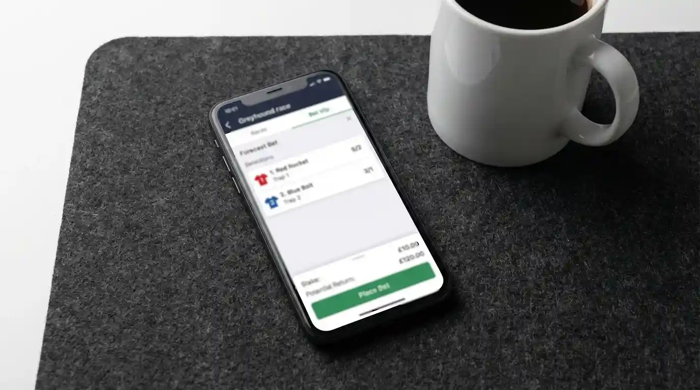 Close-up of a betting app screen showing forecast and tricast bet options for a greyhound race