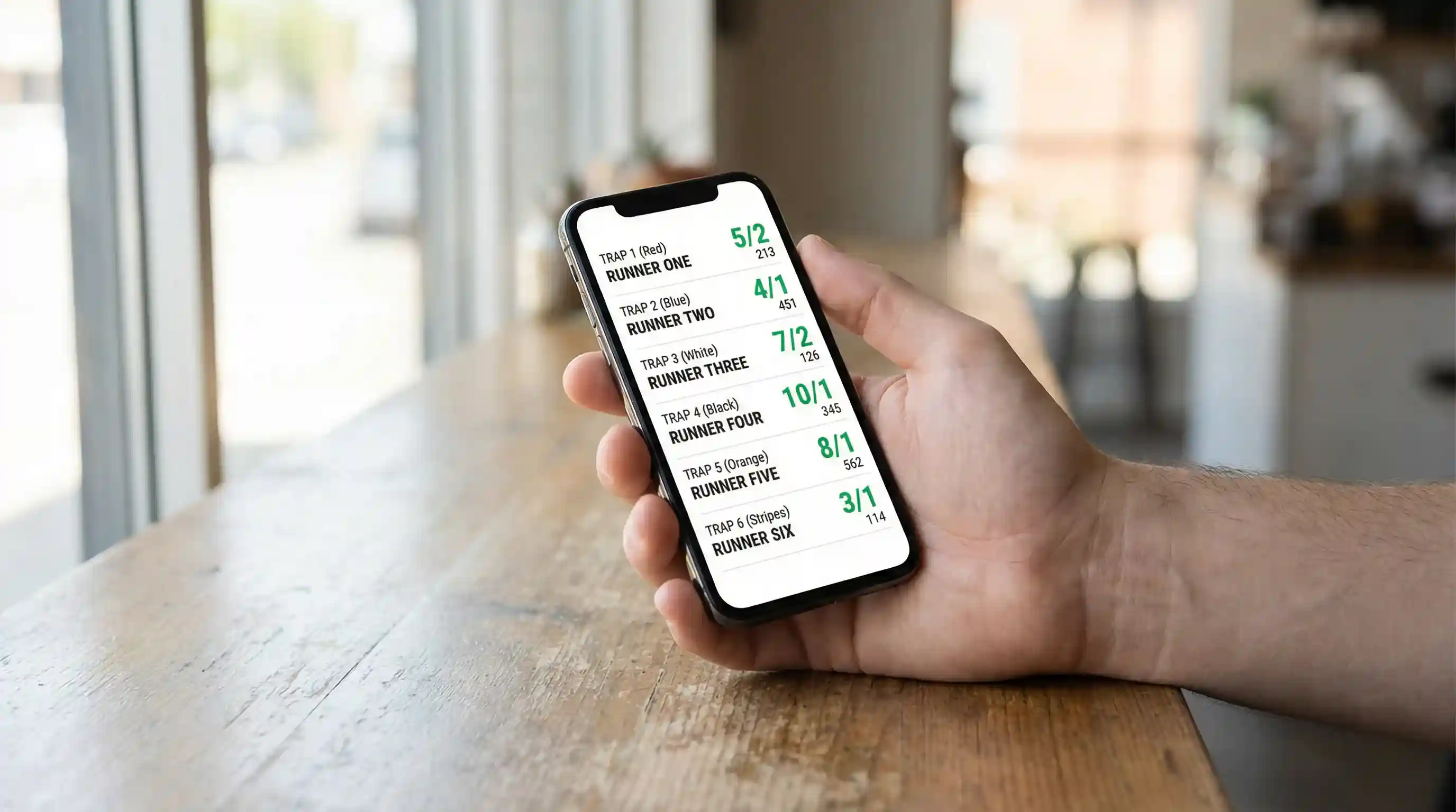 Hand holding a smartphone displaying a greyhound racing racecard with trap numbers and odds